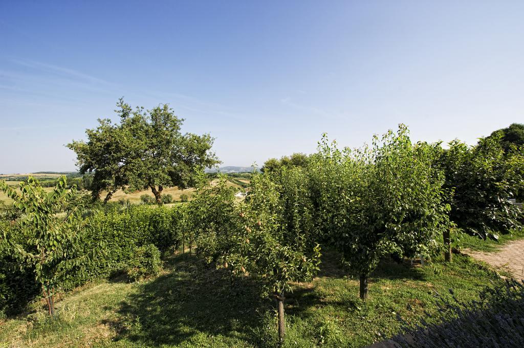 Agriturismo I Roseti Montepulciano Stazione Cameră foto